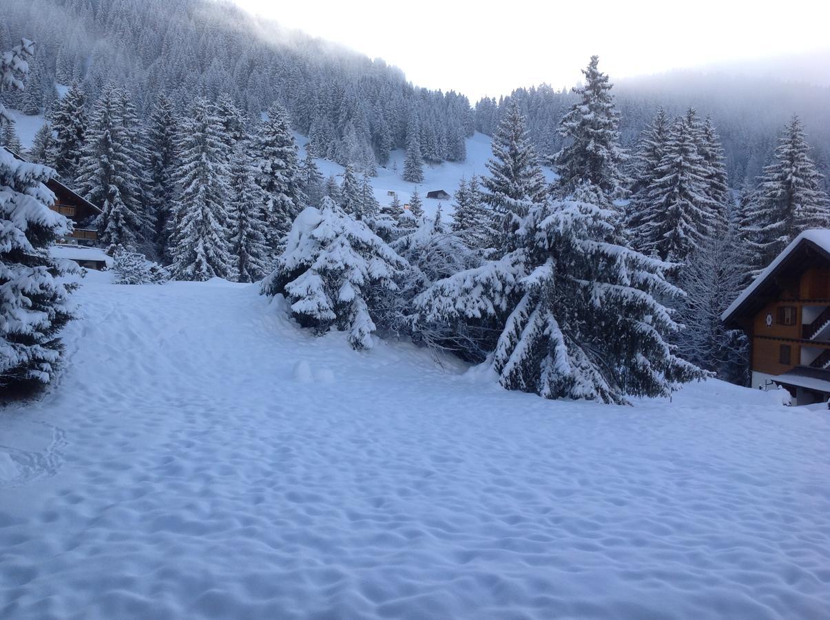 Petit Ours Villars-sur-Ollon Exterior foto